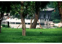 Taiyuan Jinci Hotel 진츠/진사 관광단지 호텔