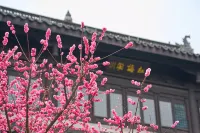 MINSHAN YOUZAI HOTEL - Scenic
