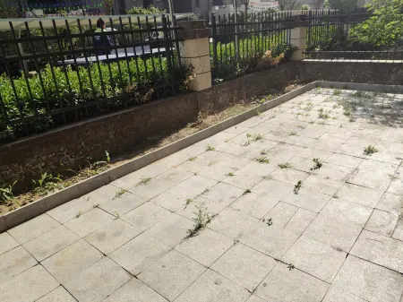 Slow Life Courtyard Homestay