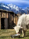 Buwan Liyu · Wild Aurora Sunrise Golden Peak Wilderness Homestay (Baisha Ancient Town Branch) - رخيصة