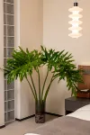 Floral Hotel·Xuan Jing Ge Family Vacation Hotel - balcony