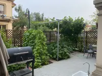 leisurely life house