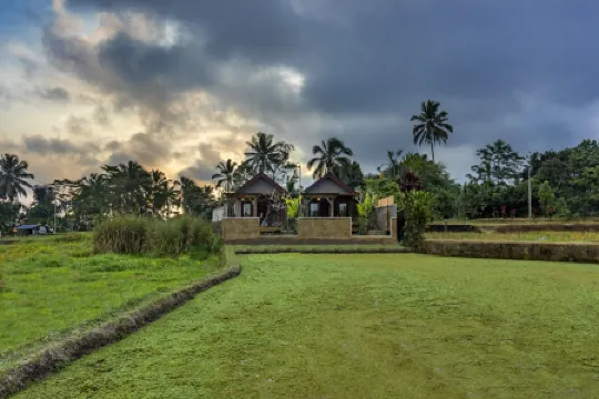Shankara Villa Ubud Отели рядом с достопримечательностью «lapangan ume saraseda»