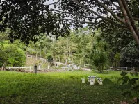 The Moon Rabbit Resort Hotels near The Land Split