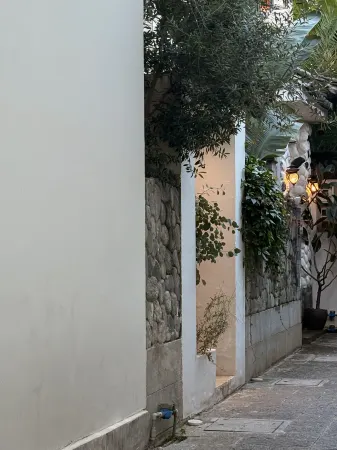 Mushanxi Dali Puyuqing Luxury Homestay