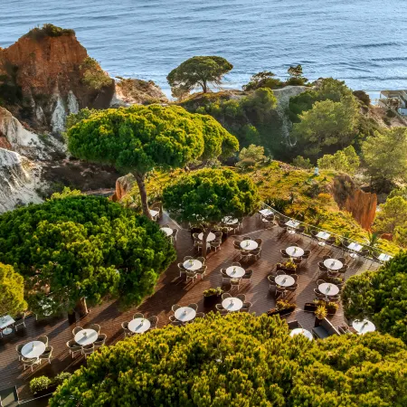 Pine Cliffs Gardens