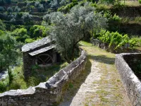 Casa do Avô Álvaro - Retreat of the King Hotels in Seia