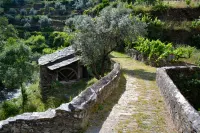 Casa do Avô Álvaro - Retreat of the King  호텔