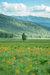Xi Shan You Yu · HiCorer · Mountain Wilderness Retreat (Kanas Scenic Area Branch)