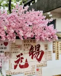 學院公寓