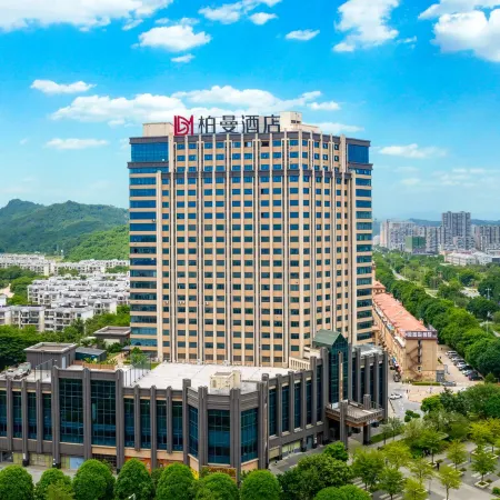 Borrman Hotel (Chongzuo People's Government Youyi Avenue)