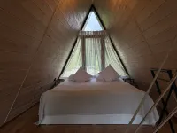 Space Trip Boutique Hotel - Homestays