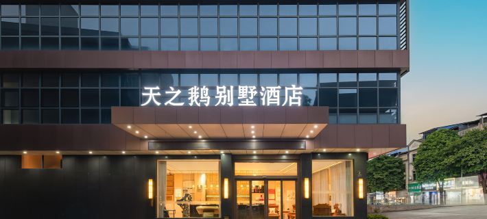 Longzhou Tianzhi'e Villa Hotel Hotele w: Powiat Longzhou