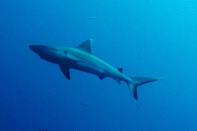 施設外観 バンドス モルディブの写真