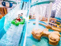 Studio City Hotel - Family