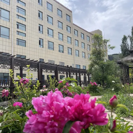 Dronizagulu Hotel