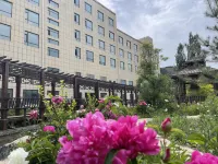 Dronizagulu Hotel