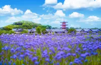 Wuxi Nianhua Bay Nianhua Inn (Nianhua Bay Scenic Area Branch)