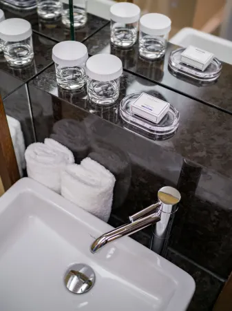 InterContinental Genève Отели рядом с достопримечательностью «Музей Patek Philippe»