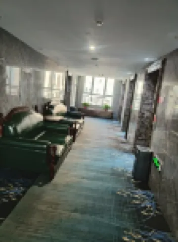 This Shi Hotel (Zhoukou Municipal Government Arts and Science College)