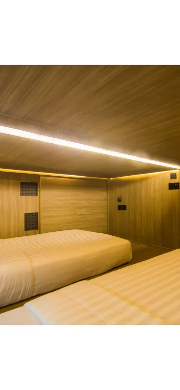 แคปซูลทวิน