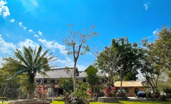 Ulana Forest Life Aesthetics Designer Resort Hotel