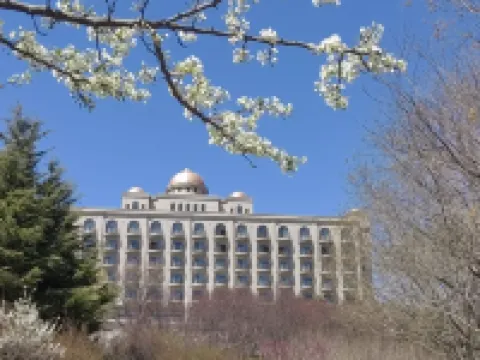 大連國際金融會議中心海景酒店 鄰近大連森林動物園的酒店
