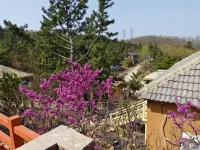 WhisperPeak · Secret WildLuxe Courtyard - pemandangan pegunungan