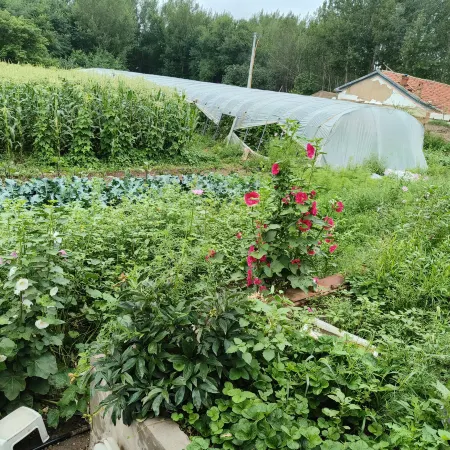 Youjia Homestay & Restaurant