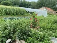 Youjia Homestay & Restaurant
