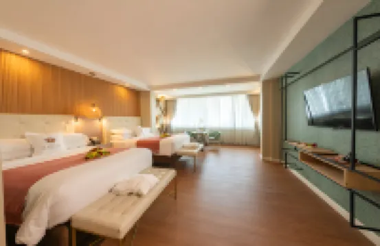 埃爾帕納馬酒店 - 大法朗達 - Radisson Individuals 旗下成員