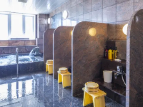 ホテルニューパレス ( New palace Hotel ) 新宮市のホテル