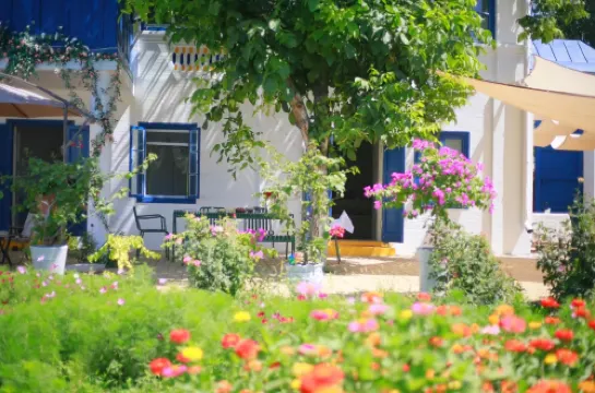 Ser villa