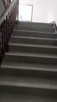 Elegant Hostel - Pet friendly