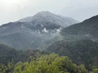 시시 인