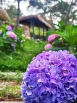 Yishui Zhuyuan Spring Wind·Jian Nanshan Homestay