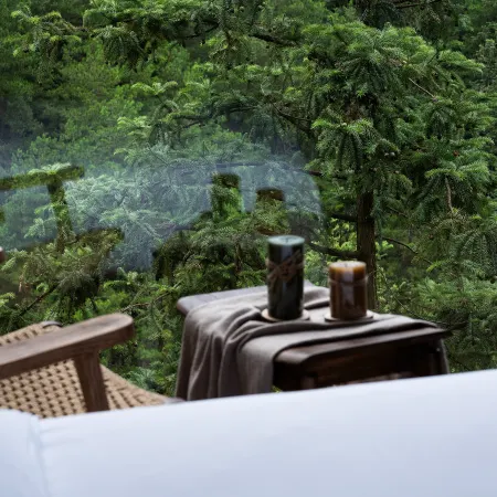 Serene Wisdom Retreat (Xijiang Qianhu Miao Village Observation Deck)
