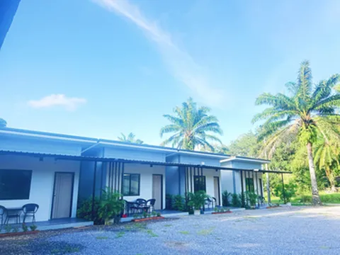 รูปภาพของPalm Tree Resort