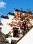 Wuyuan Pillow Shangshanye Homestay (Guling Scenic Area)