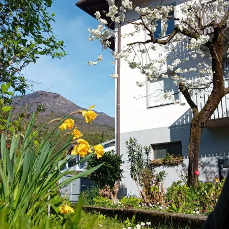Lodge Mamma  Maria