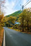 莫干山竹澗安隅民宿