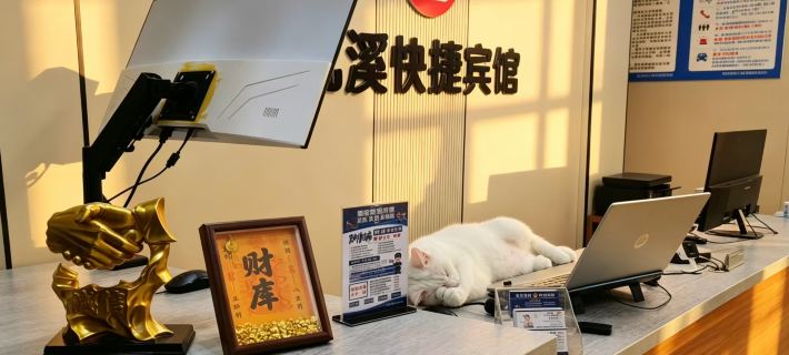 Zhenxi Express Hotel (Xinyang Railway Station Tianrun Plaza) Hotels in Xinyang
