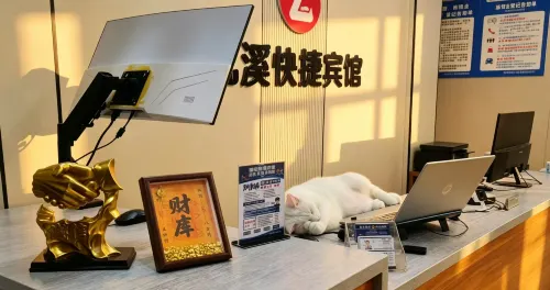 Zhenxi Express Hotel (Xinyang Railway Station Tianrun Plaza)