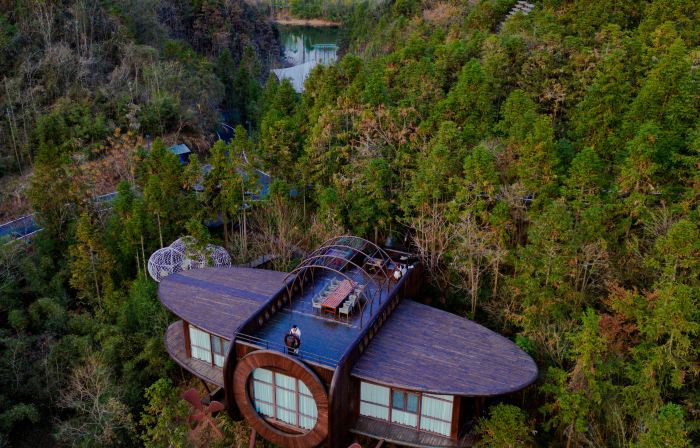 Ziyoujia · Tree house World