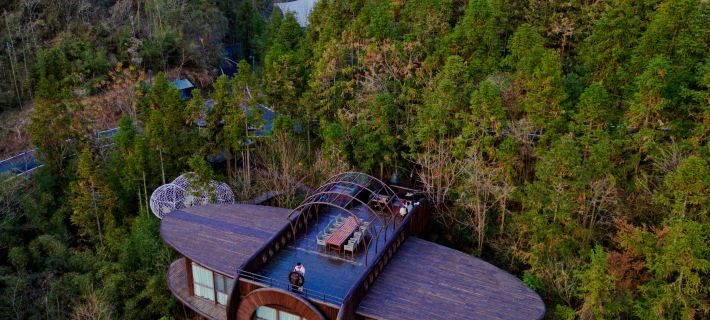 Ziyoujia · Tree house World Hotel a Xiuning