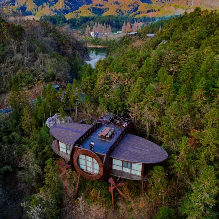 Ziyoujia · Tree house World