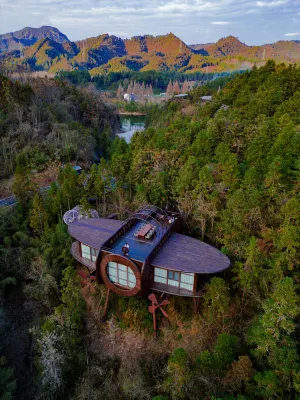 Ziyoujia · Tree house World - Mountain view