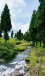 Yicui Homestay (Wumeng Grass Plain) - 2-Star