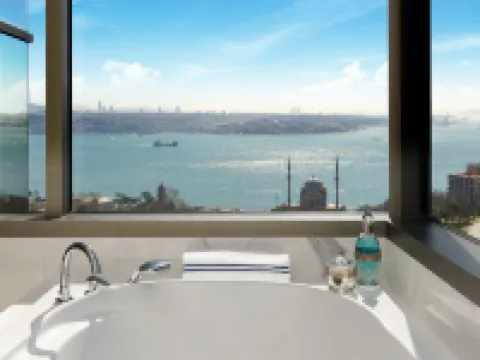 The Ritz-Carlton, Istanbul イスタンブールのホテル