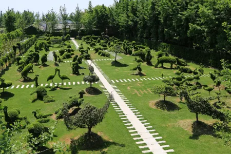 Qingqing Inn Отели рядом с достопримечательностью «Taiji Wuse Valley»